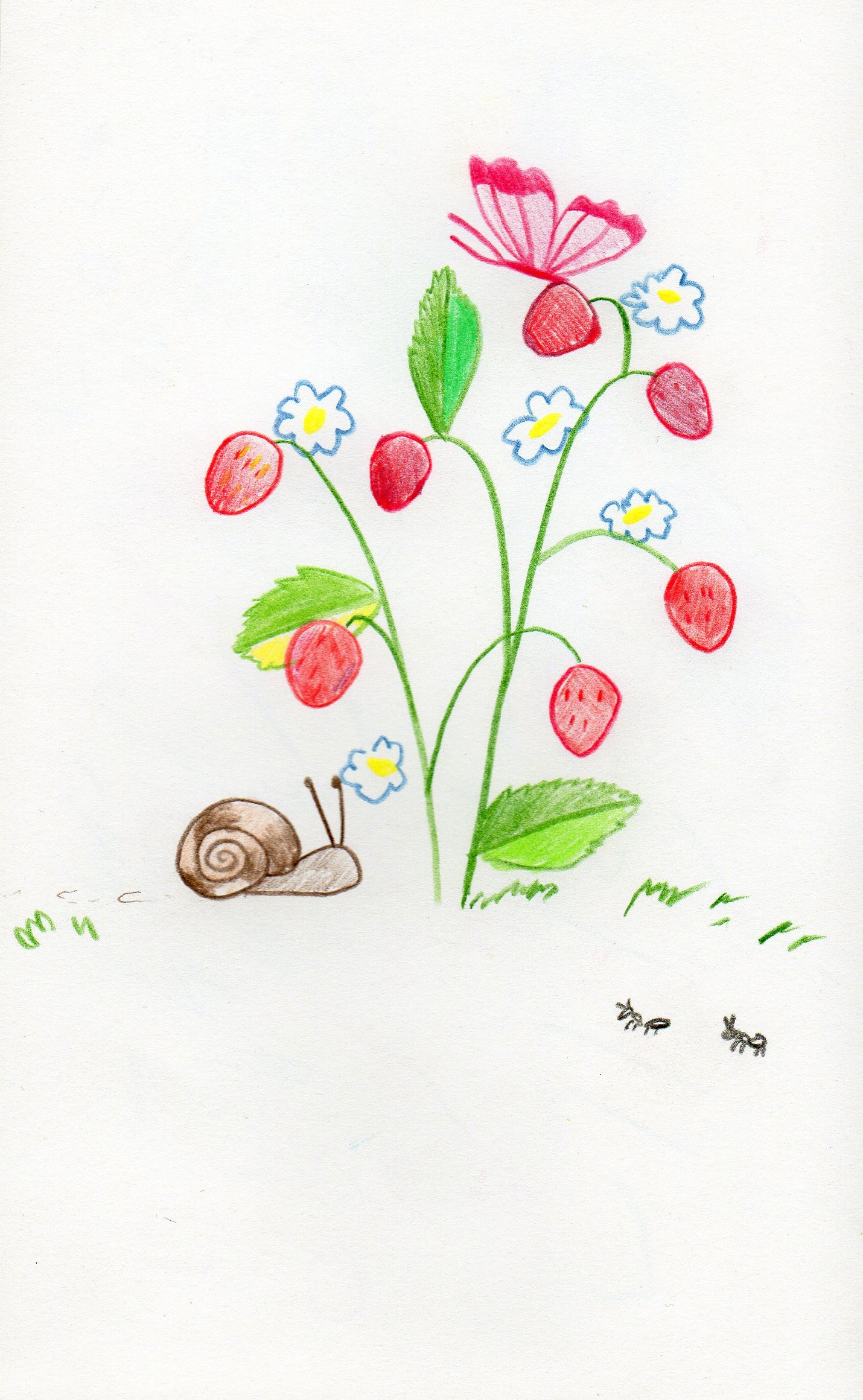 Второй рисунок