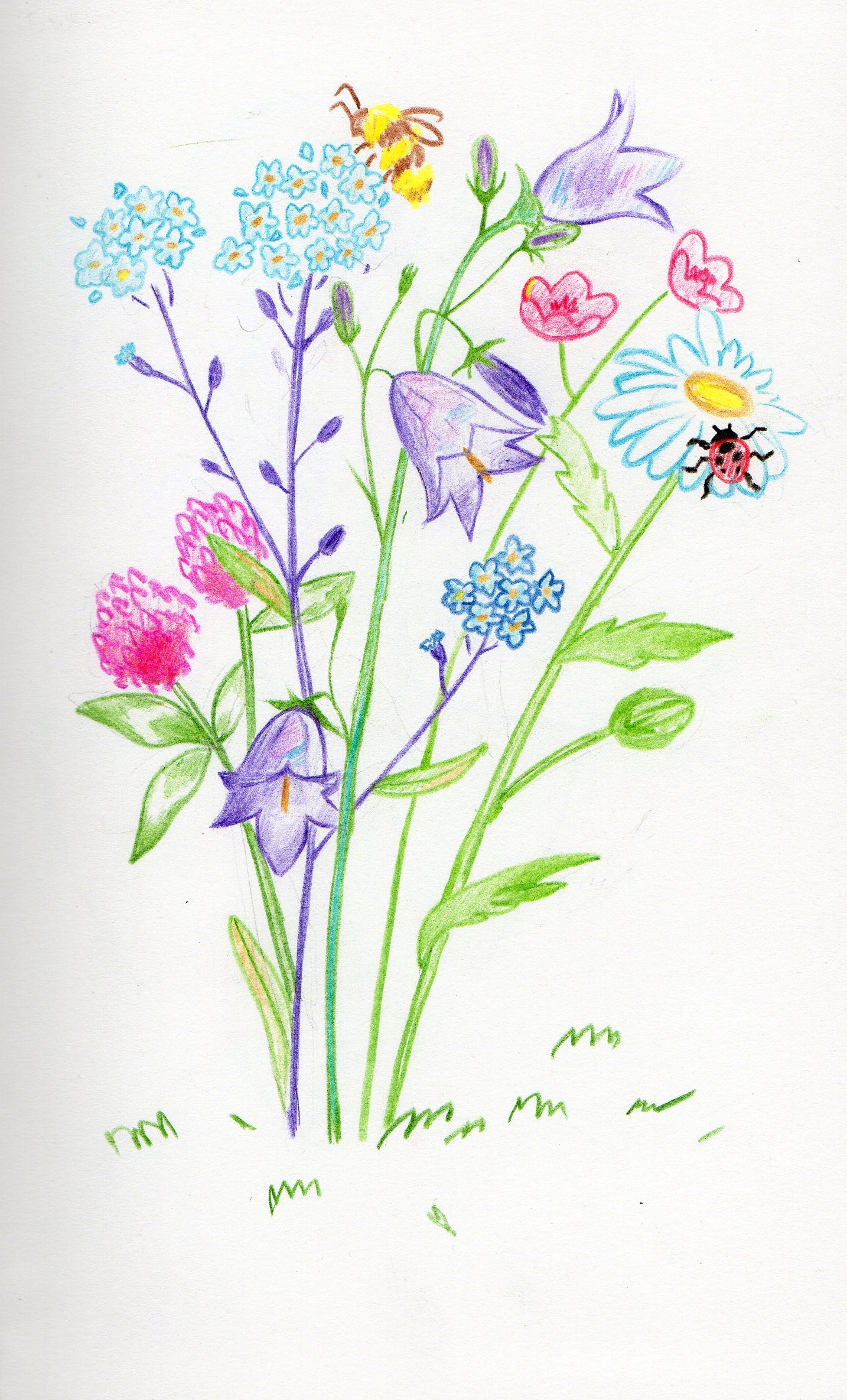 Третий рисунок